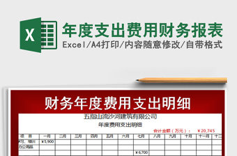 年度支出费用财务报表