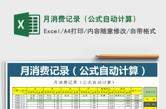 2025年月消费记录（公式自动计算）