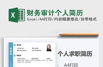 2025年财务审计个人简历