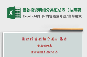 2025年借款投资明细分类汇总表（按照要求进行查询带视频操作