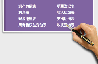 2025年财务收支系统（会计专业账表）