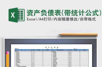 2025年资产负债表(带统计公式)