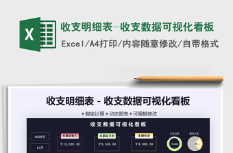 2024年收支明细表-收支数据可视化看板