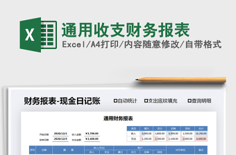 2025年通用收支财务报表