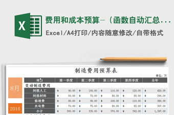 2025年费用和成本预算-（函数自动汇总）