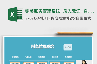 2024年完美账务管理系统-录入凭证-自动报表