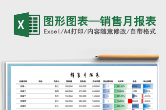 2025年图形图表—销售月报表