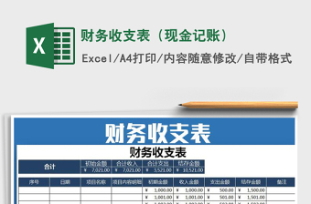2025年财务收支表（现金记账）