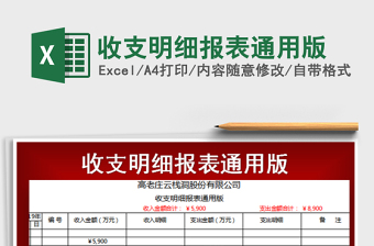 2025年收支明细报表通用版