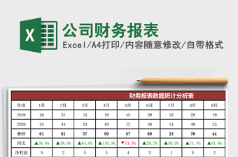 公司财务报表