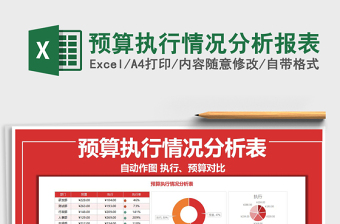 2024年预算执行情况分析报表