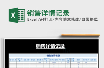 2025年销售详情记录