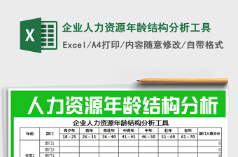 2025年企业人力资源年龄结构分析工具