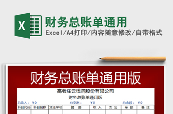 2025年财务总账单通用