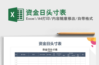 2025年资金日头寸表