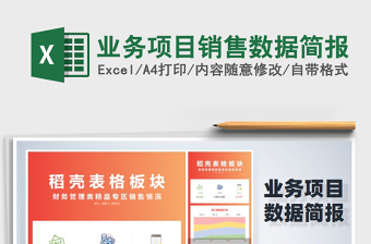 2024年业务项目销售数据简报exce表格