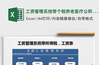 2024年工资管理系统带个税,养老医疗，公积金，工资条