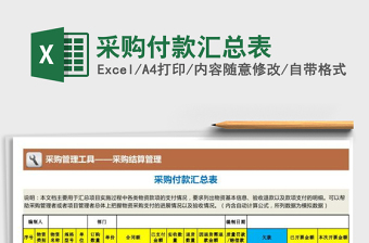 2025年采购付款汇总表