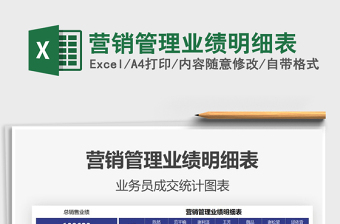 2025年营销管理业绩明细表