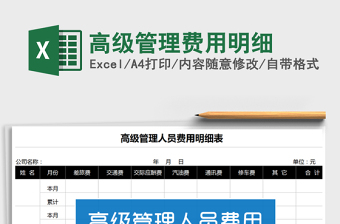 2025年高级管理费用明细