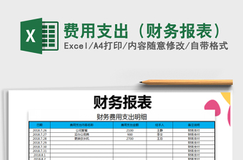 费用支出（财务报表）