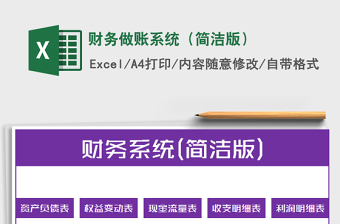 2025年财务做账系统（简洁版）