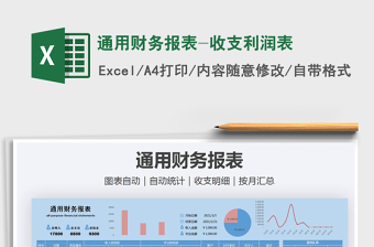 2025年通用财务报表-收支利润表