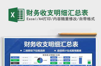 财务收支明细汇总表