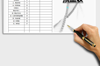 2025年损益表模板