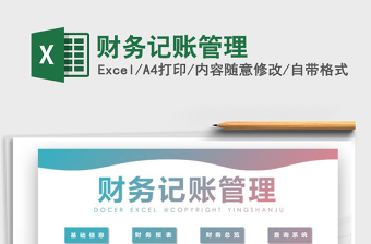 2024年财务记账管理