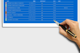 2025年项目推进表