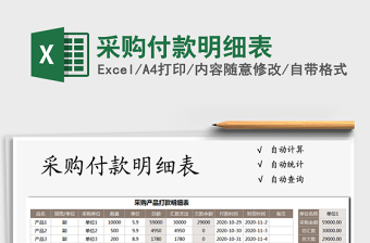 2025年采购付款明细表