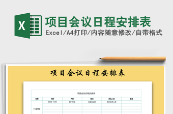 2025年项目会议日程安排表