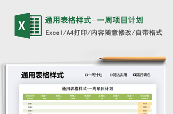 2025年通用表格样式-一周项目计划