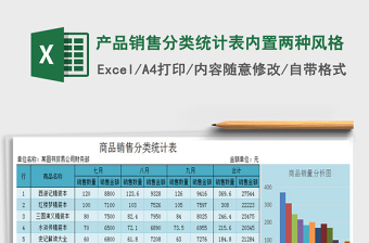 2025年产品销售分类统计表内置两种风格