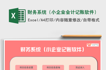 2024年财务系统（小企业会计记账软件）