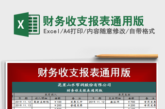 2025年财务收支报表通用版