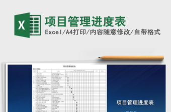 项目管理进度表