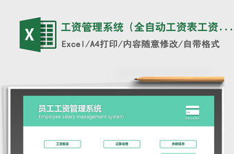 2024年工资管理系统（全自动工资表工资条）