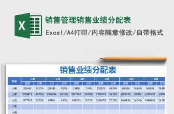 2025年销售管理销售业绩分配表