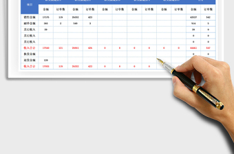 2025年电商销售日报表（电商运营日报表）