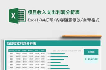 2024年项目收入支出利润分析表免费下载