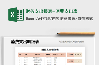 2025年财务支出报表-消费支出表