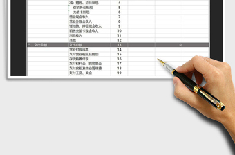 2025年收支月报表-酒店行业