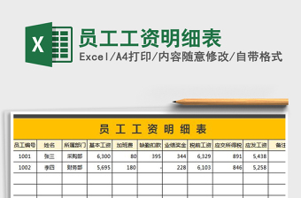 2025工资明细大全excel表格图片