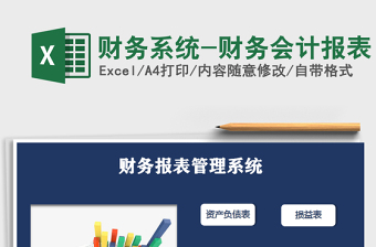 2024年财务系统-财务会计报表