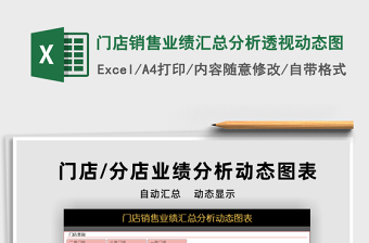 2024年门店销售业绩汇总分析透视动态图