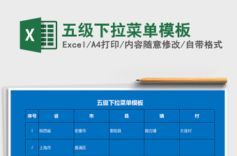 2024年五级下拉菜单模板exce表格