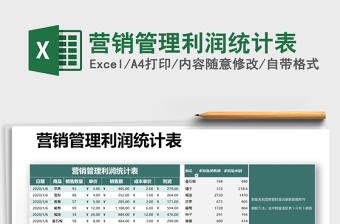 2025年营销管理利润统计表