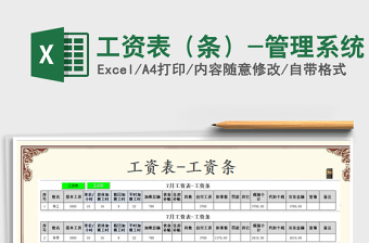 2025年工资表（条）-管理系统